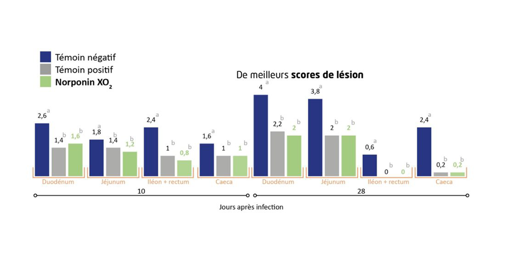 graph 2 article coccidiose perou