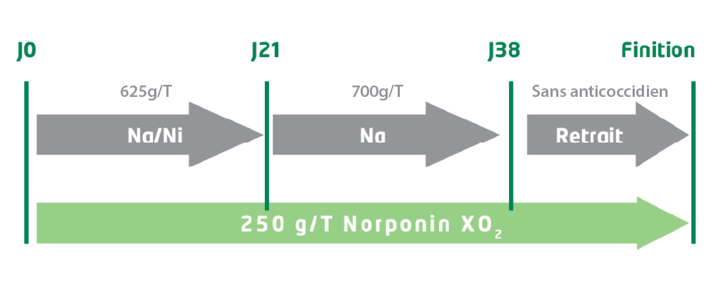 graph 1 article npxo