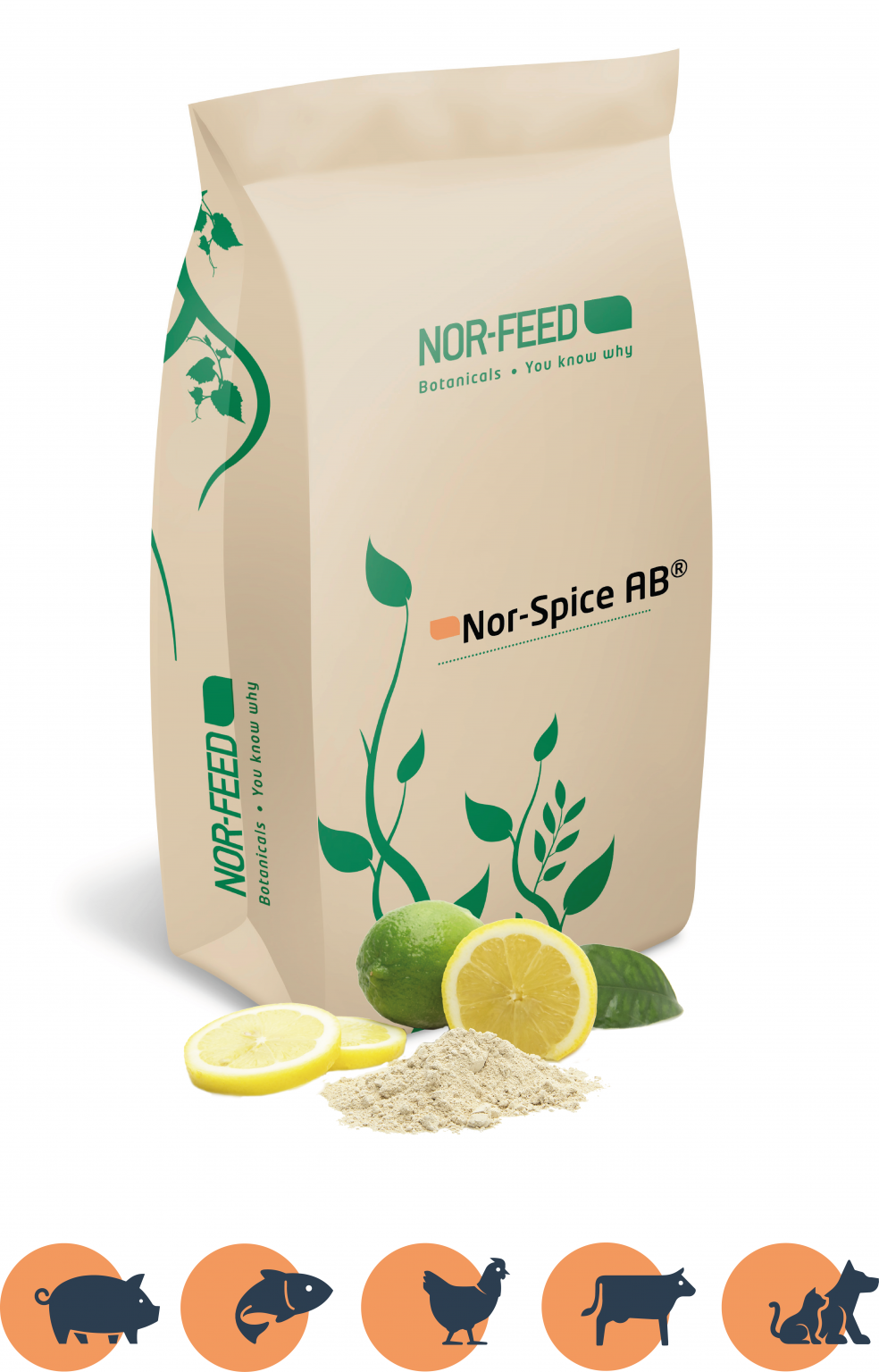 Fine Characterization of a Standardized Citrus Extract NorFeed