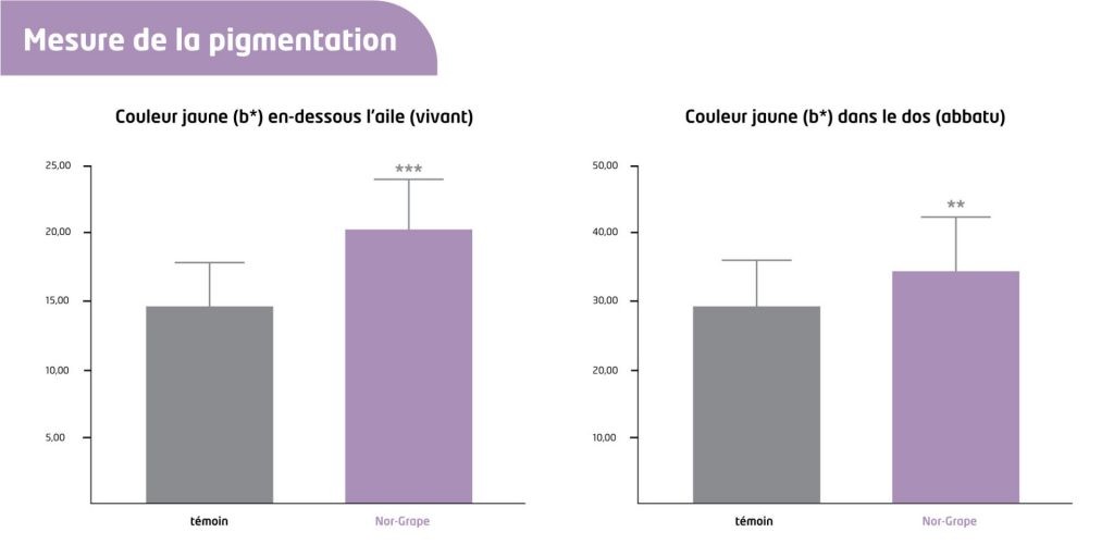 graph article nor grape fr