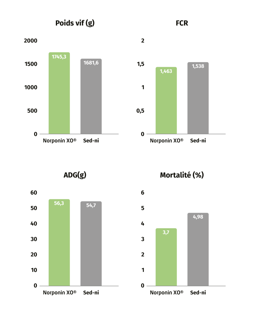 graphs article npxo fr plan de travail 1 plan de travail 1