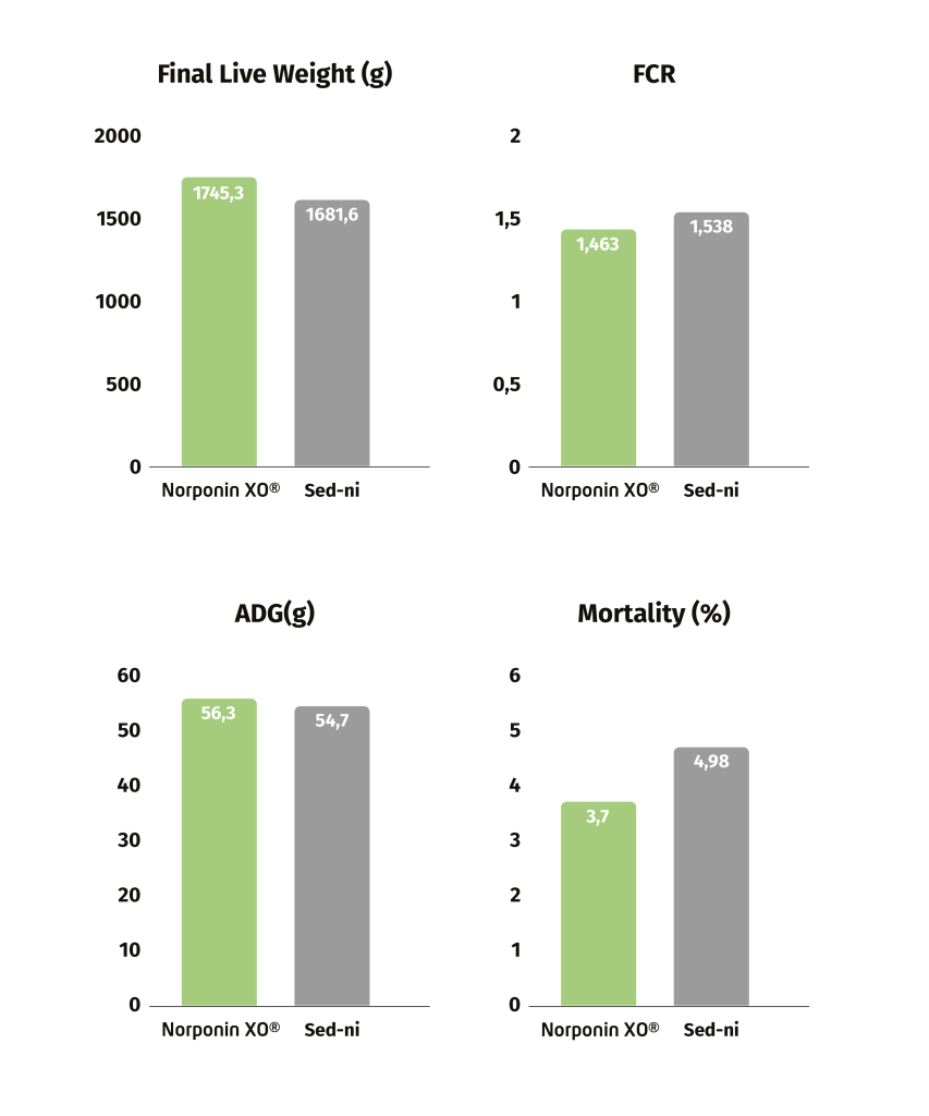 graphs article npxo plan de travail 1