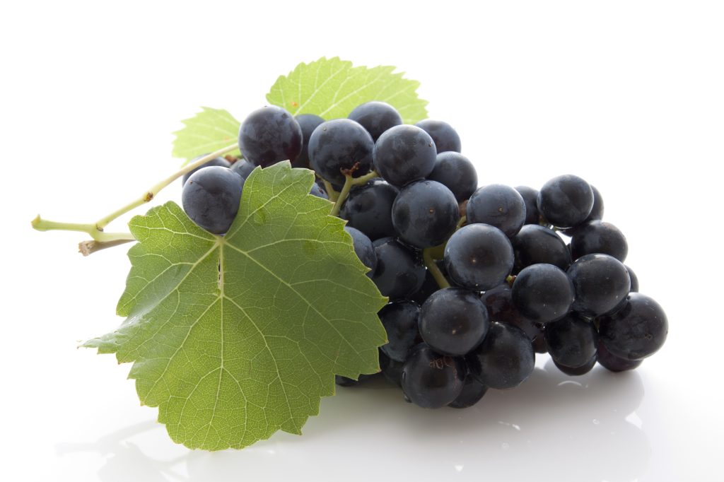 Regulatory information: Grape extract authorized for animal feed - Nor-Feed