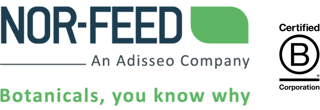 logo nf bcorp sans marges